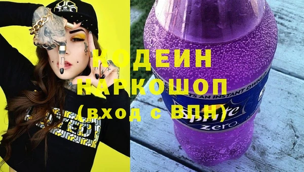 индика Надым